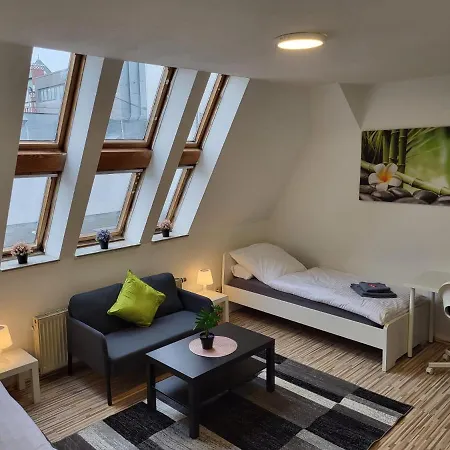 Cityapartment Platinum-zentrum Mit Parkplatz Daire *